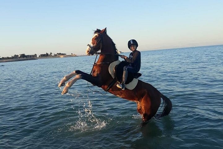 Horse and camel riding adventure in Hurghada, Egypt, with desert and sea views, photo 7 | wizardtrip