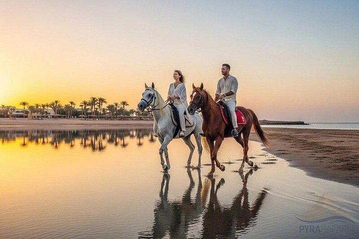 Horse and camel riding adventure in Hurghada, Egypt, with desert and sea views, photo 9 | wizardtrip