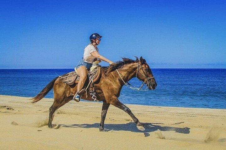 Horse and camel riding adventure in Hurghada, Egypt, with desert and sea views, photo 10 | wizardtrip