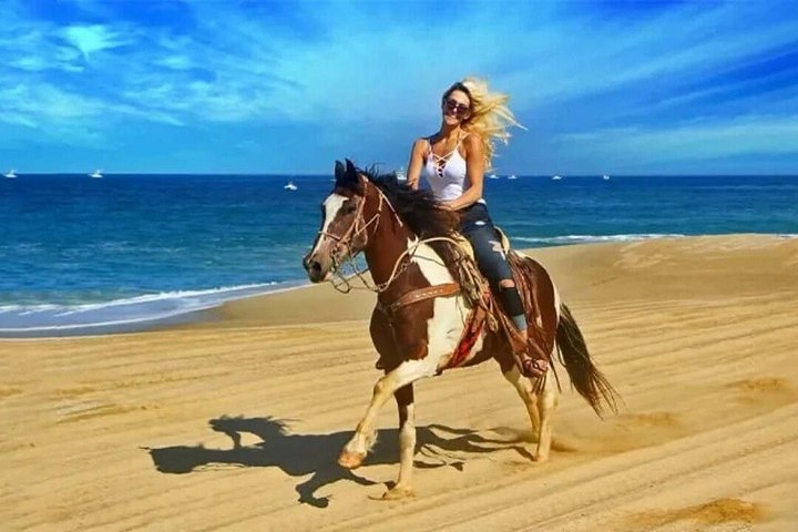 Horse and camel riding adventure in Hurghada, Egypt, with desert and sea views, photo 11 | wizardtrip