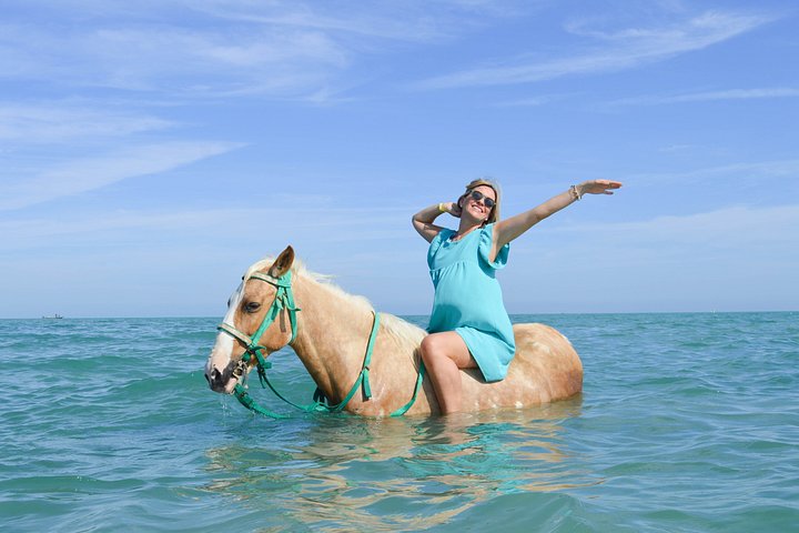 Horse and camel riding adventure in Hurghada, Egypt, with desert and sea views, photo 16 | wizardtrip