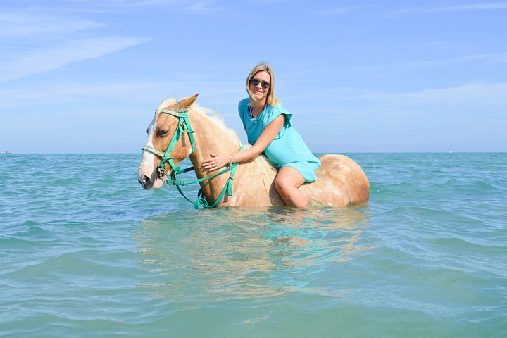 Horse and camel riding adventure in Hurghada, Egypt, with desert and sea views, photo 17 | wizardtrip