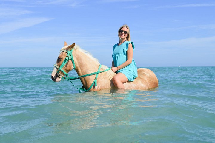 Horse and camel riding adventure in Hurghada, Egypt, with desert and sea views, photo 18 | wizardtrip