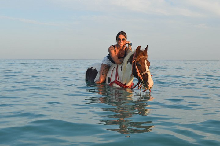 Horse and camel riding adventure in Hurghada, Egypt, with desert and sea views, photo 19 | wizardtrip