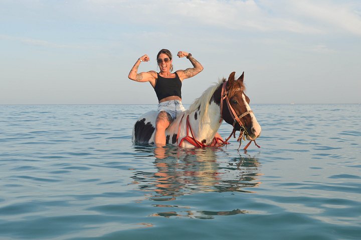 Horse and camel riding adventure in Hurghada, Egypt, with desert and sea views, photo 20 | wizardtrip