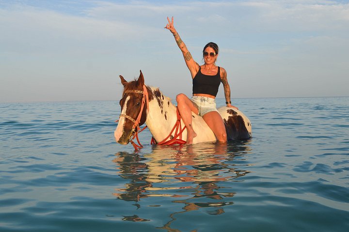 Horse and camel riding adventure in Hurghada, Egypt, with desert and sea views, photo 21 | wizardtrip