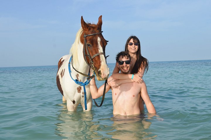 Horse and camel riding adventure in Hurghada, Egypt, with desert and sea views, photo 23 | wizardtrip