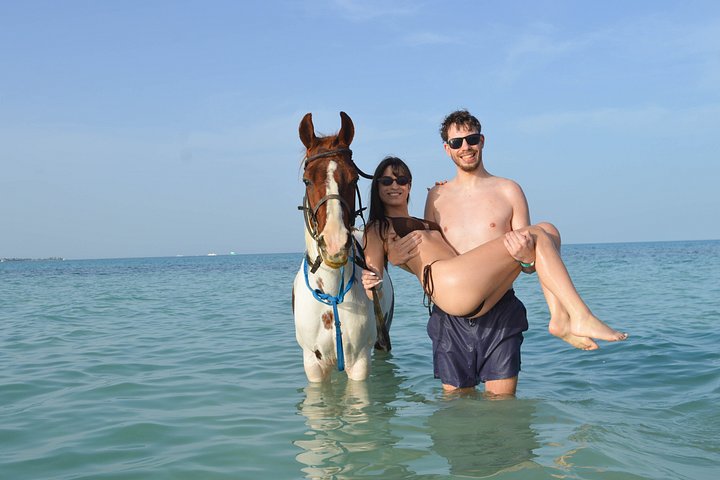 Horse and camel riding adventure in Hurghada, Egypt, with desert and sea views, photo 24 | wizardtrip