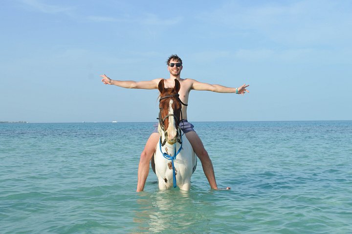 Horse and camel riding adventure in Hurghada, Egypt, with desert and sea views, photo 25 | wizardtrip