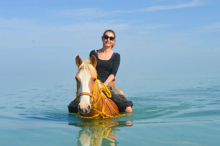 Horse and camel riding adventure in Hurghada, Egypt, with desert and sea views, photo 26 | wizardtrip