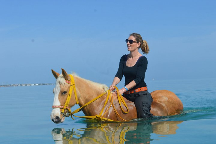 Horse and camel riding adventure in Hurghada, Egypt, with desert and sea views, photo 27 | wizardtrip