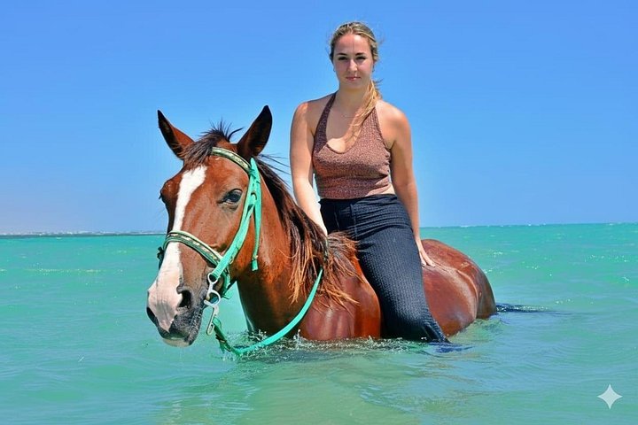Horse and camel riding adventure in Hurghada, Egypt, with desert and sea views, photo 28 | wizardtrip