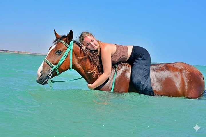 Horse and camel riding adventure in Hurghada, Egypt, with desert and sea views, photo 29 | wizardtrip