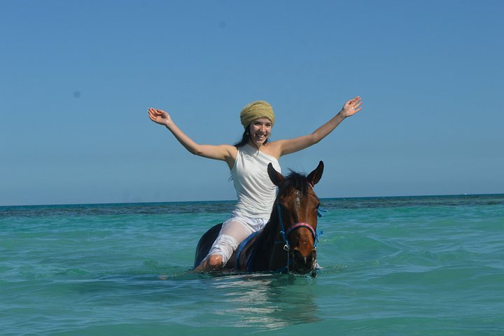 Horse and camel riding adventure in Hurghada, Egypt, with desert and sea views, photo 32 | wizardtrip