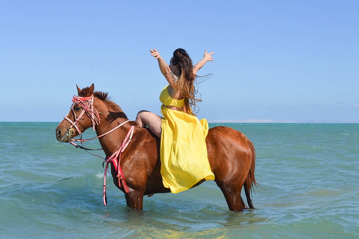 Horse and camel riding adventure in Hurghada, Egypt, with desert and sea views, photo 33 | wizardtrip