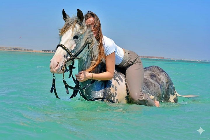 Horse and camel riding adventure in Hurghada, Egypt, with desert and sea views, photo 34 | wizardtrip