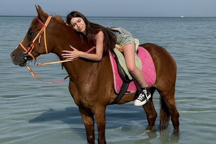 Horse and camel riding adventure in Hurghada, Egypt, with desert and sea views, photo 35 | wizardtrip