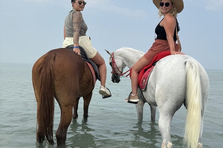 Horse and camel riding adventure in Hurghada, Egypt, with desert and sea views, photo 36 | wizardtrip