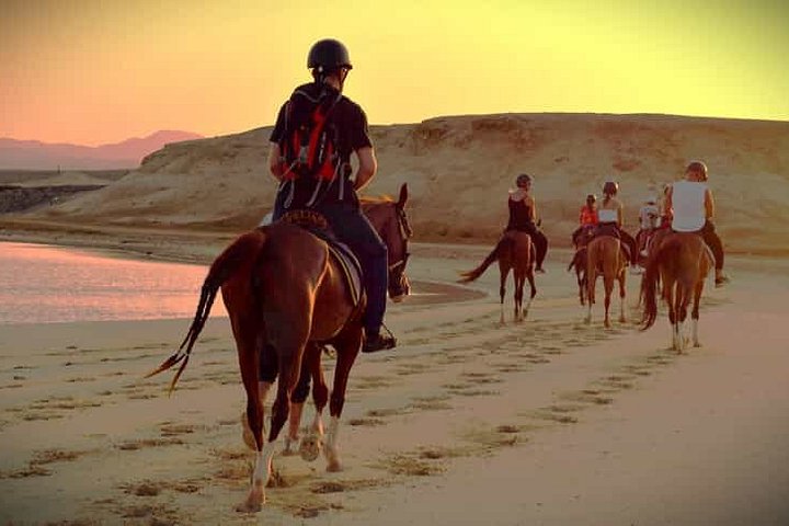 Horse and camel riding adventure in Hurghada, Egypt, with desert and sea views, photo 37 | wizardtrip
