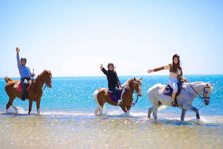 Horse and camel riding adventure in Hurghada, Egypt, with desert and sea views, photo 38 | wizardtrip