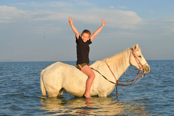 Horse and camel riding adventure in Hurghada, Egypt, with desert and sea views, photo 40 | wizardtrip