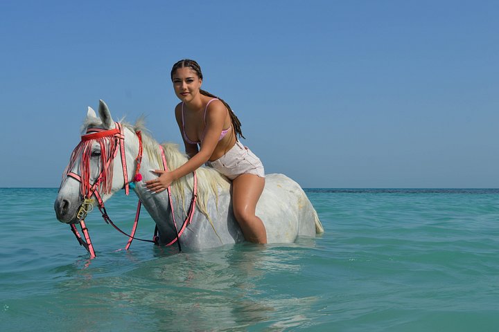 Horse and camel riding adventure in Hurghada, Egypt, with desert and sea views, photo 41 | wizardtrip