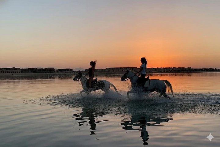 Horse and camel riding adventure in Hurghada, Egypt, with desert and sea views, photo 42 | wizardtrip