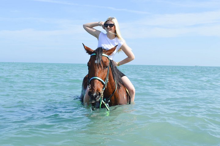 Horse and camel riding adventure in Hurghada, Egypt, with desert and sea views, photo 43 | wizardtrip
