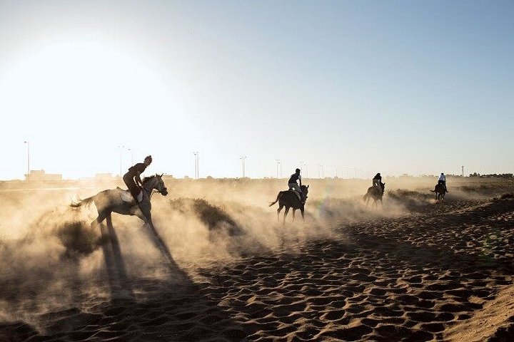 Horse and camel riding adventure in Hurghada, Egypt, with desert and sea views, photo 46 | wizardtrip