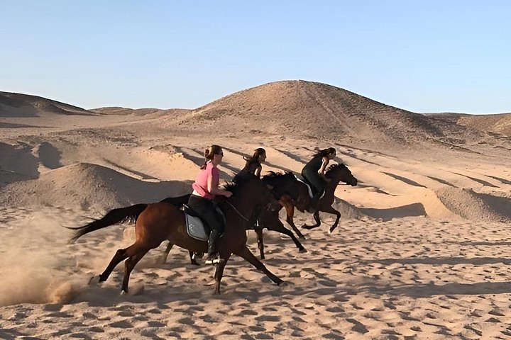 Horse and camel riding adventure in Hurghada, Egypt, with desert and sea views, photo 48 | wizardtrip