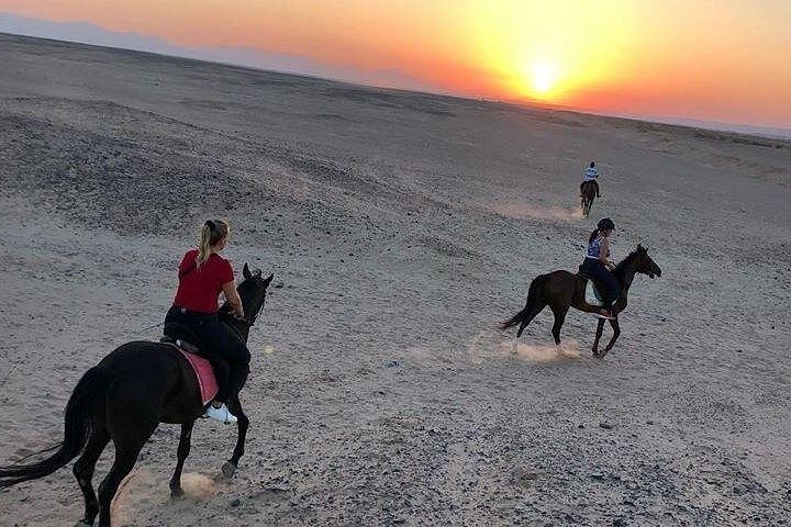 Horse and camel riding adventure in Hurghada, Egypt, with desert and sea views, photo 49 | wizardtrip