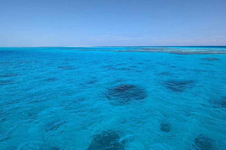 Volledige dag snorkeltour naar Dolphin House vanuit Hurghada met dolfijnen spotten en lunch, foto 18 | wizardtrip