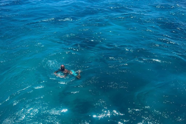 Volledige dag snorkeltour naar Dolphin House vanuit Hurghada met dolfijnen spotten en lunch, foto 24 | wizardtrip