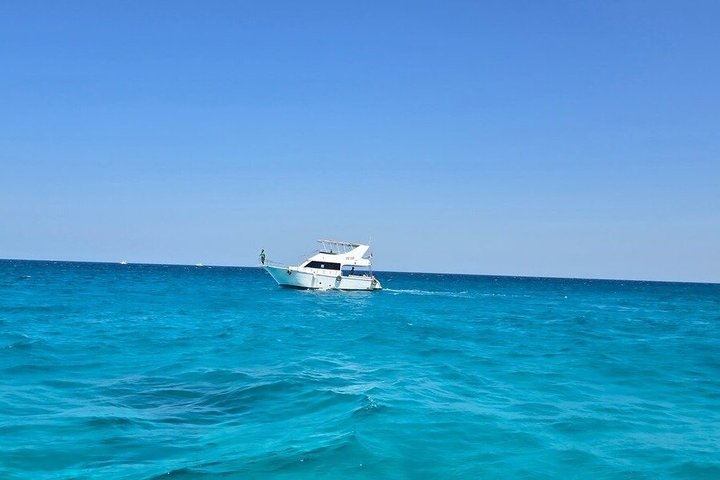 Volledige dag snorkeltour naar Dolphin House vanuit Hurghada met dolfijnen spotten en lunch, foto 26 | wizardtrip