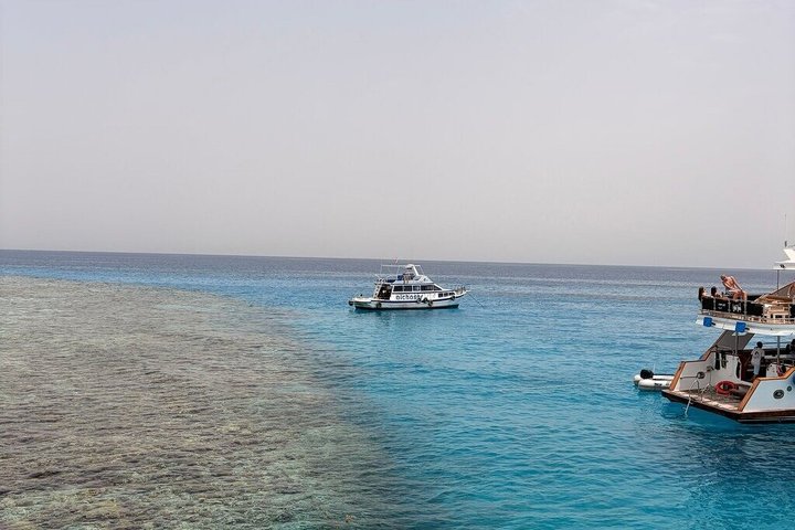 Volledige dag snorkeltour naar Dolphin House vanuit Hurghada met dolfijnen spotten en lunch, foto 28 | wizardtrip