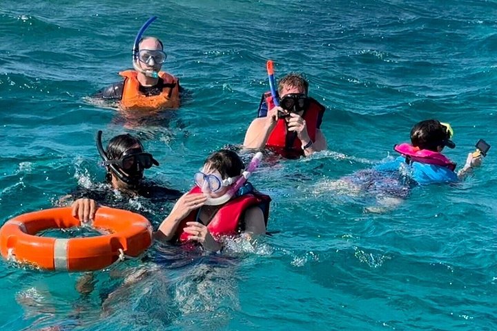 Volledige dag snorkeltour naar Dolphin House vanuit Hurghada met dolfijnen spotten en lunch, foto 31 | wizardtrip