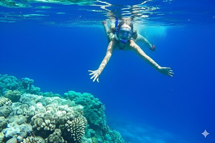 Volledige dag snorkeltour naar Dolphin House vanuit Hurghada met dolfijnen spotten en lunch, foto 39 | wizardtrip