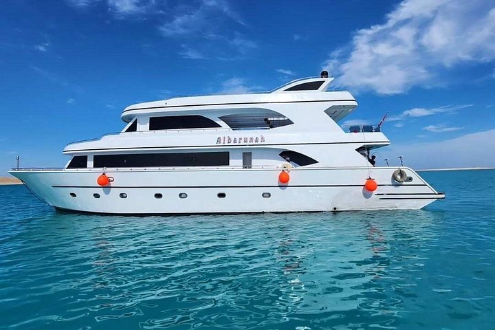 Volledige dag snorkeltour naar Dolphin House vanuit Hurghada met dolfijnen spotten en lunch, foto 42 | wizardtrip