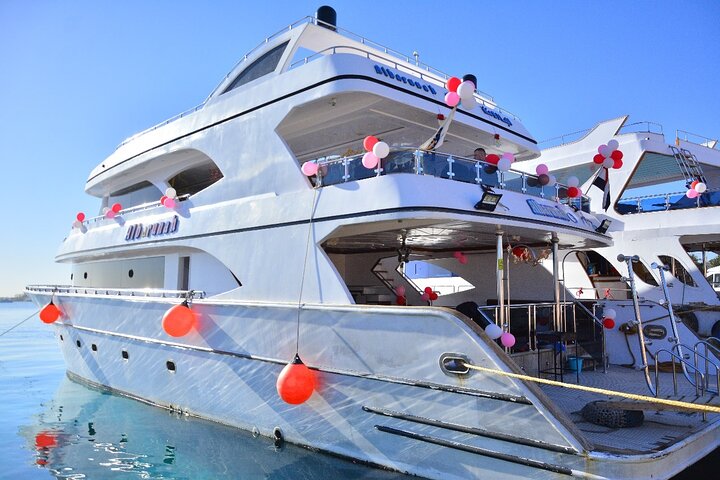 Volledige dag snorkeltour naar Dolphin House vanuit Hurghada met dolfijnen spotten en lunch, foto 43 | wizardtrip