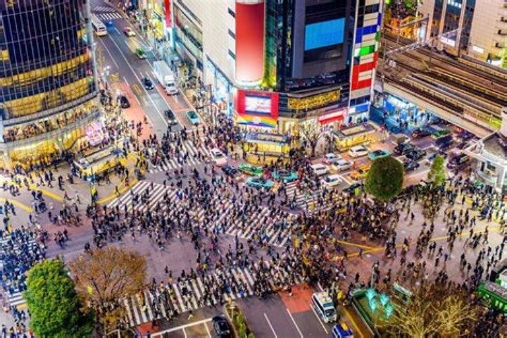 Privé rondleiding door de bezienswaardigheden van Tokio met een persoonlijke chauffeur, foto 17 | wizardtrip