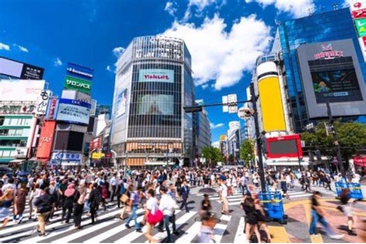 Privé rondleiding door de bezienswaardigheden van Tokio met een persoonlijke chauffeur, foto 18 | wizardtrip