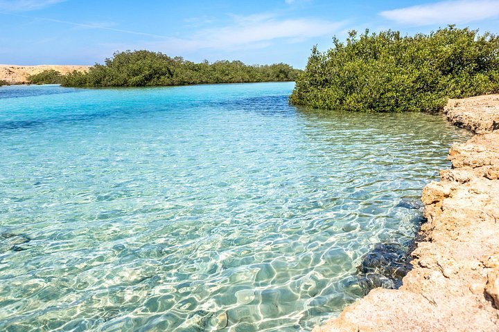 Erkunden Sie die atemberaubenden Korallenriffe, einzigartigen geologischen Formationen und kristallklaren Gewässer des Ras Mohammed Nationalparks auf einer geführten Tour ab Sharm El Sheikh, Foto 6 | wizardtrip
