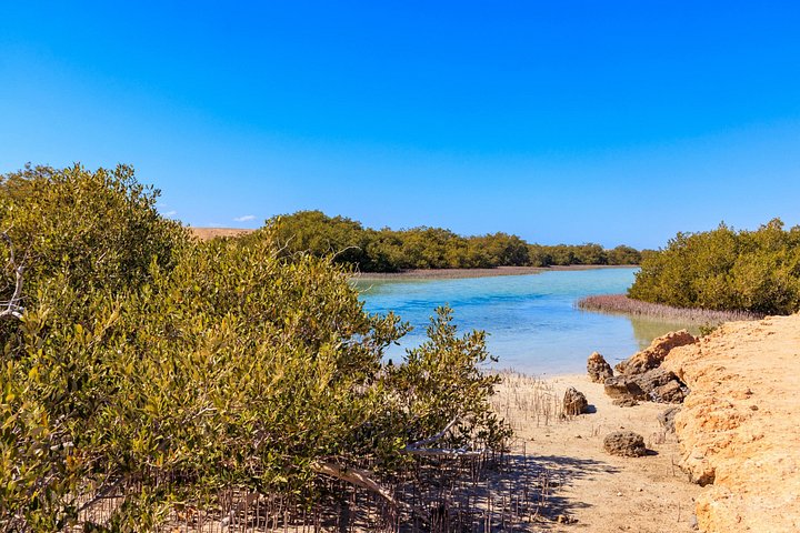 Erkunden Sie die atemberaubenden Korallenriffe, einzigartigen geologischen Formationen und kristallklaren Gewässer des Ras Mohammed Nationalparks auf einer geführten Tour ab Sharm El Sheikh, Foto 17 | wizardtrip