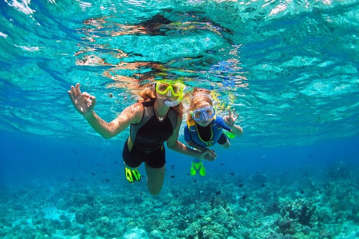Erkunden Sie die atemberaubenden Korallenriffe, einzigartigen geologischen Formationen und kristallklaren Gewässer des Ras Mohammed Nationalparks auf einer geführten Tour ab Sharm El Sheikh, Foto 18 | wizardtrip