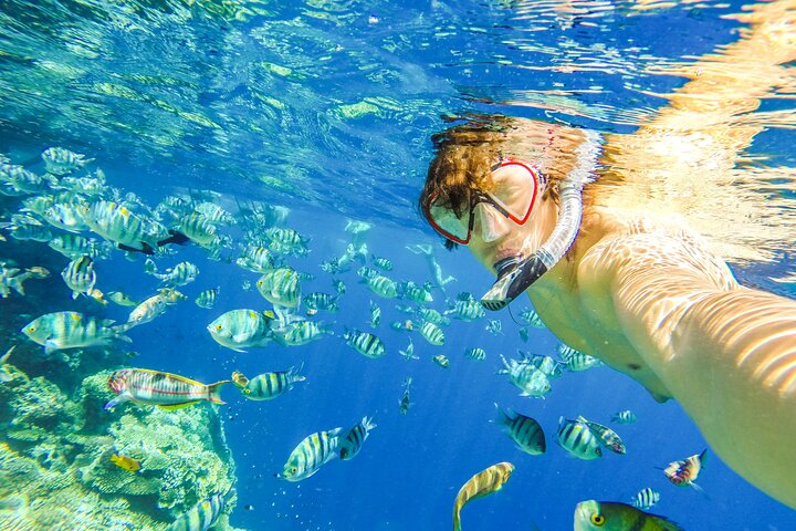 Erkunden Sie die atemberaubenden Korallenriffe, einzigartigen geologischen Formationen und kristallklaren Gewässer des Ras Mohammed Nationalparks auf einer geführten Tour ab Sharm El Sheikh, Foto 27 | wizardtrip
