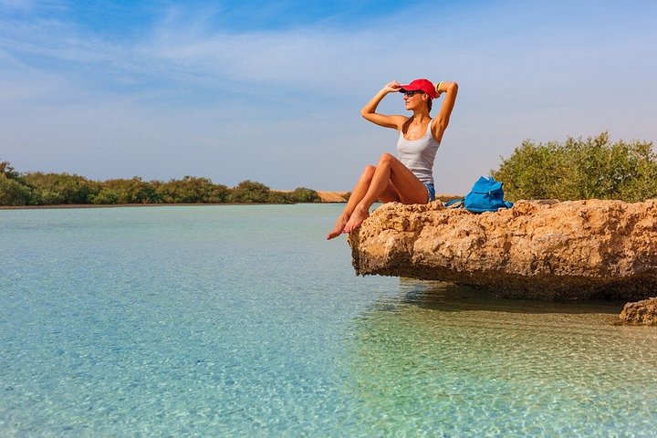 Erkunden Sie die atemberaubenden Korallenriffe, einzigartigen geologischen Formationen und kristallklaren Gewässer des Ras Mohammed Nationalparks auf einer geführten Tour ab Sharm El Sheikh, Foto 41 | wizardtrip