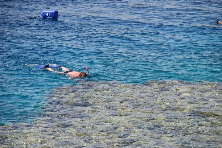 Erkunden Sie die atemberaubenden Korallenriffe, einzigartigen geologischen Formationen und kristallklaren Gewässer des Ras Mohammed Nationalparks auf einer geführten Tour ab Sharm El Sheikh, Foto 45 | wizardtrip