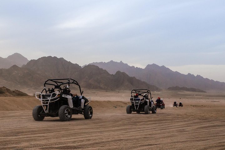 Vivez une aventure désertique passionnante à Charm el-Cheikh avec balade en quad, promenade à dos de chameau et dîner-spectacle bédouin, photo 32 | wizardtrip