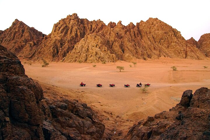 Vivez une aventure désertique passionnante à Charm el-Cheikh avec balade en quad, promenade à dos de chameau et dîner-spectacle bédouin, photo 39 | wizardtrip