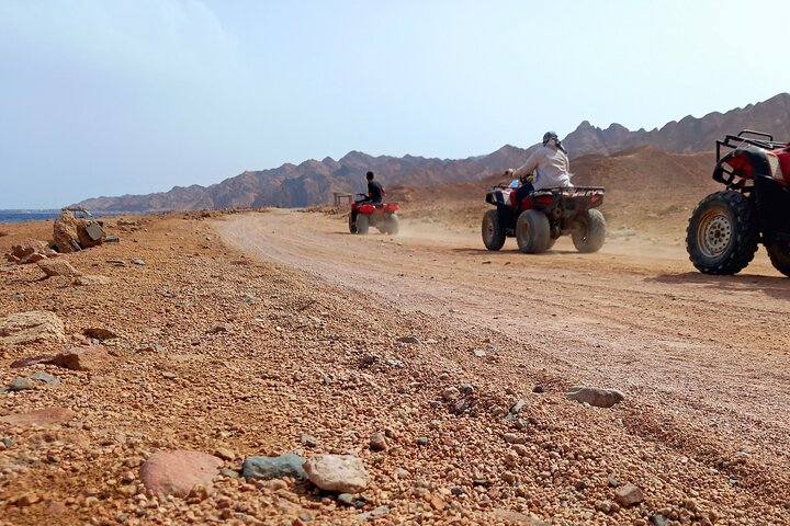 Vivez une aventure désertique passionnante à Charm el-Cheikh avec balade en quad, promenade à dos de chameau et dîner-spectacle bédouin, photo 43 | wizardtrip